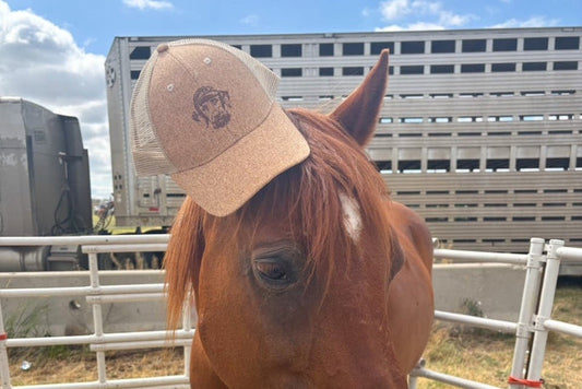 Outdoor lifestyle shot of horse wearing Hunt Mutt cork hat